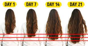Scientist have known for a hundred years that light, even ordinary light has an effect on cell function and that light deprivation can trigger. How To Grow Hair Fast My Hair Grew 5 Inches In Just 2 Months Byabbie