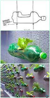 Diy Hanging Plastic Bottle Gardening