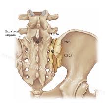 Palpation research in medicine is of two types superficial palpation should always be preceded by deep surveys, since some of the condition of a sharp and. Sacroiliac Joint Pain And Dysfunction Acusport Education