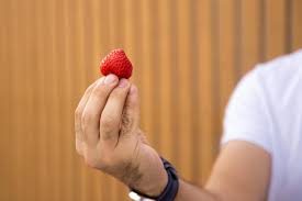 Koji nakao, a japanese farmer, contacted guinness world records when he discovered an unusually huge strawberry during harvest. New Farming Method To Grow Strawberries In Dubai Bears Fruit