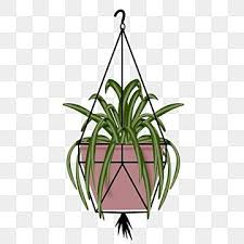 Hanging Plant Clipart Transpa