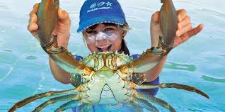 Image result for funny catching crab pics