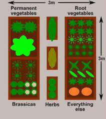 Raised Bed Vegetable Gardens Plan For