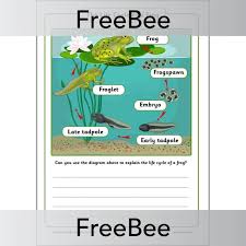 This images was posted by admin on october 9, 2020. Free Life Cycle Of A Frog Ks1 Worksheet By Planbee