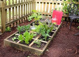 Easy Peasy Square Foot Gardening