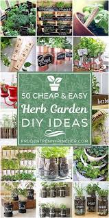50 and easy diy herb garden ideas