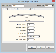 risa camber design rules in risafloor