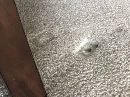 remove furniture dents in carpet