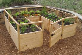 8 x8 complete vegetable garden kit