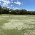 BARBERS POINT GOLF COURSE - 64 Photos & 23 Reviews - 2249 Essex Rd ...