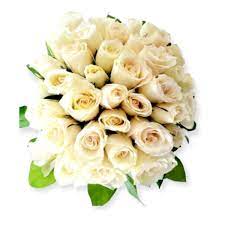 bouquet of white roses lamino