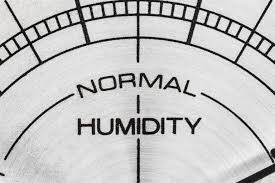 Too Much Home Humidity Makes Us All