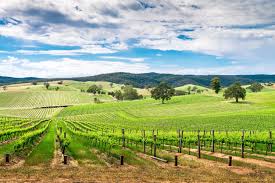 best australian wineries tours 2024