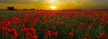 Anzac day (/ˈænzæk/) is a national day of remembrance in australia and new zealand that broadly commemorates all australians and new zealanders who served and died in all wars, conflicts. Lest We Forget Anzac Day