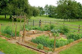 10 Diy Vegetable Garden Ideas For