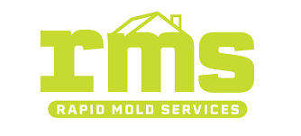 5 best mold inspection testing