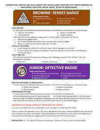 brownie detective badge fill