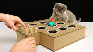 10 diy cat games to keep your kitty