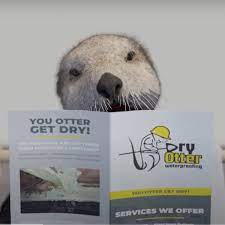 I M Drysdale Dry Otter Waterproofing