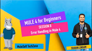 session 8 mule 4 error handling 3
