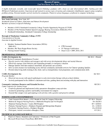 Resume Sample Labor Relations Executive Page  