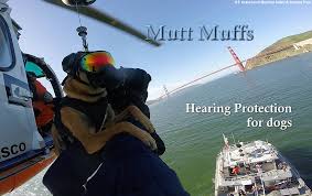 Welcome To Mutt Muffs