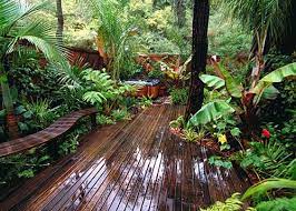 14 tropical garden ideas melbourne