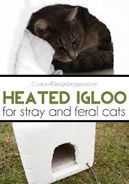 how to make a heated cat house igloo as