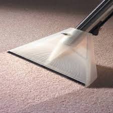 bluegr carpet cleaning louisville