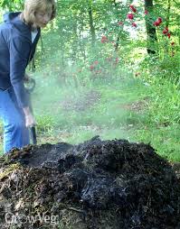 Using Animal Manure In The Vegetable Garden