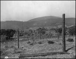 General view of anti-glider posts placed by Germans along the Southern  coast of France in the Pertuis Area. Photo was taken on August 21, 1944. |  Sicile