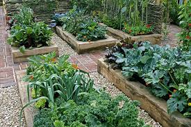 Layout For Your Vegetable Garden