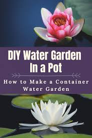 Mini Water Gardens On Your Deck