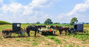 8 astonishing facts about the amish