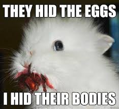 Rabbit Memes on Pinterest | Funny Bunnies, Bunny Meme and Rabbit via Relatably.com