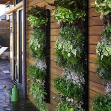 vertical herb gardens