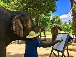 100 Elephant Painting Thai Elephant