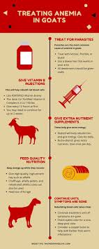 Anemia In Goats Diagnosing And Treating