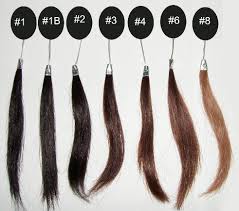 Hair Color Chart Lace Frenzy Wigs Hair Extensions