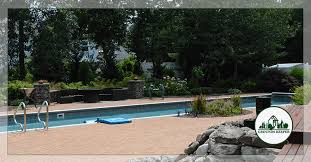 Designing The Perfect Swimming Pool