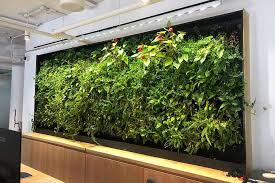 Living Walls For Indoor Spaces