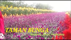 Pandéglang), adalah sebuah kabupaten di provinsi banten, indonesia. Taman Bunga Di Pandeglang Youtube