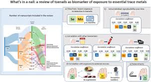 toenails as biomarker of exposure to