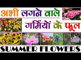flowers and vegetables knowledge you
