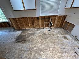 Everett Mold Remediation Removal