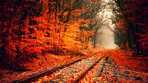 100 high resolution fall backgrounds