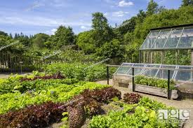the vegetable garden at rhs rosemoor in