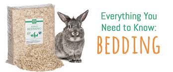 Bedding For Small Mammals All You Need