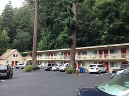 Being a branch of quality inn hotel chain hotel quality inn santa cruz is conveniently situated in 1101 ocean street in westside santa cruz district of santa cruz just in 1.1 km from the centre. Pool And Front Office Picture Of Quality Inn Suites Santa Cruz Mountains Ben Lomond Tripadvisor