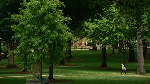 Um Awarded Tree Campus Usa Recognition